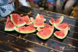 桐乡吃瓜直播,带你领略当地美食风情 第3张 桐乡吃瓜直播,带你领略当地美食风情 第3张